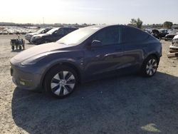 Salvage cars for sale at Antelope, CA auction: 2023 Tesla Model Y