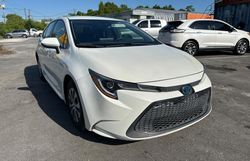 Salvage cars for sale at Orlando, FL auction: 2021 Toyota Corolla LE