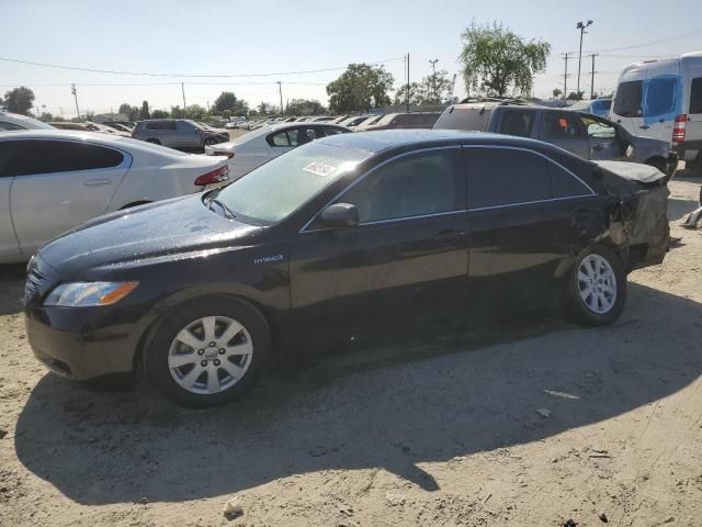 2009 Toyota Camry Hybrid