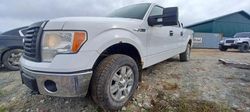 Salvage cars for sale from Copart Montreal Est, QC: 2011 Ford F150 Supercrew