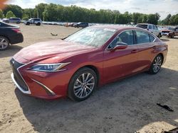 Salvage cars for sale at Conway, AR auction: 2020 Lexus ES 350