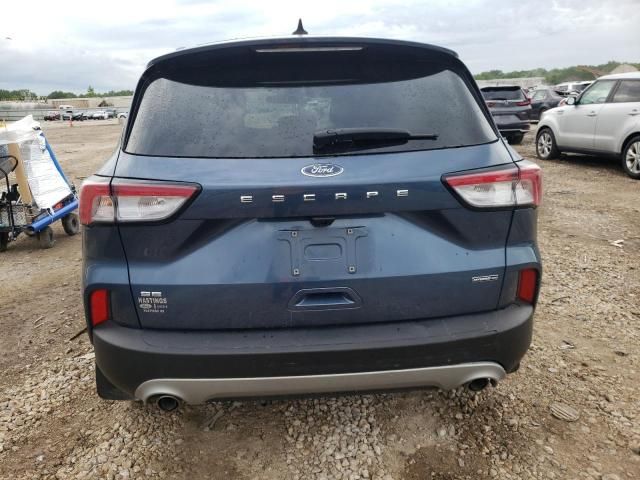 2020 Ford Escape SE Sport