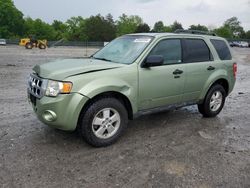 Salvage cars for sale at Madisonville, TN auction: 2008 Ford Escape XLT