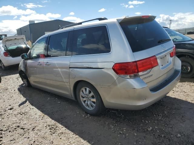 2008 Honda Odyssey EXL