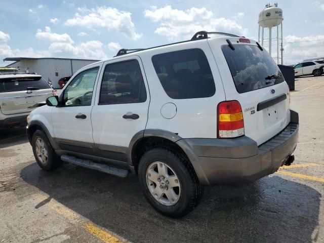 2006 Ford Escape XLT