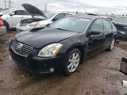 Salvage cars for sale at Elgin, IL auction: 2005 Nissan Maxima SE