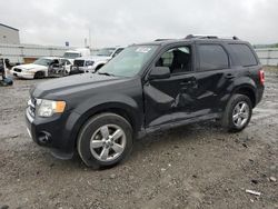 Salvage cars for sale from Copart Earlington, KY: 2011 Ford Escape Limited