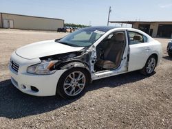 Vehiculos salvage en venta de Copart Temple, TX: 2014 Nissan Maxima S