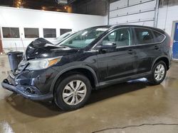 Salvage cars for sale from Copart Blaine, MN: 2013 Honda CR-V EX
