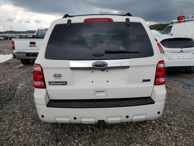 2012 Ford Escape Limited