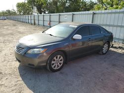 Salvage cars for sale from Copart Riverview, FL: 2009 Toyota Camry Hybrid