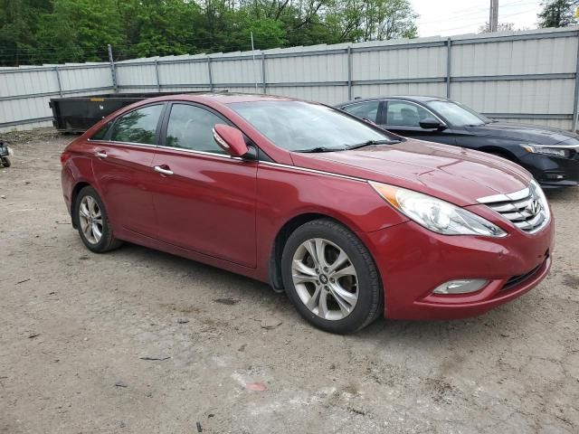 2011 Hyundai Sonata SE