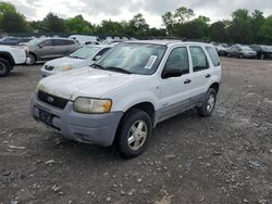 Ford Escape XLS salvage cars for sale: 2002 Ford Escape XLS