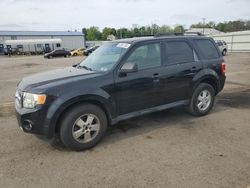 2009 Ford Escape XLT for sale in Pennsburg, PA