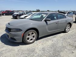 Salvage cars for sale at Antelope, CA auction: 2019 Dodge Charger SXT