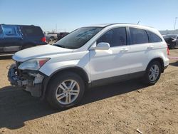 Salvage cars for sale from Copart Brighton, CO: 2010 Honda CR-V EXL
