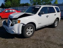 Salvage cars for sale from Copart Finksburg, MD: 2010 Ford Escape Hybrid