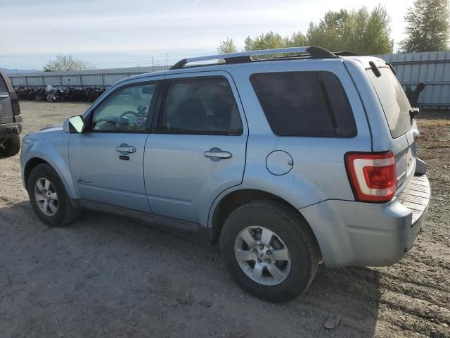 2009 Ford Escape Hybrid