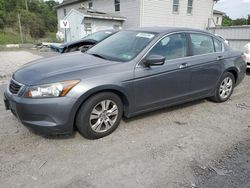 Salvage cars for sale at York Haven, PA auction: 2008 Honda Accord LXP