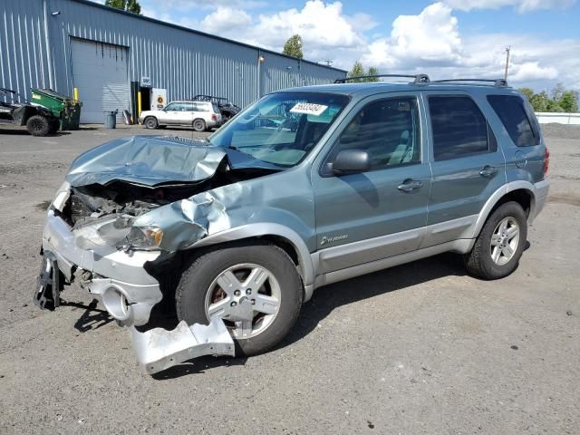 2006 Ford Escape HEV