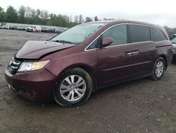 Salvage cars for sale at Finksburg, MD auction: 2015 Honda Odyssey EXL