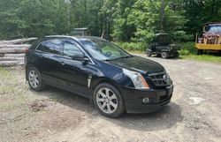 Salvage cars for sale at Windsor, NJ auction: 2011 Cadillac SRX Premium Collection