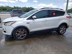Salvage cars for sale from Copart Apopka, FL: 2013 Ford Escape SEL