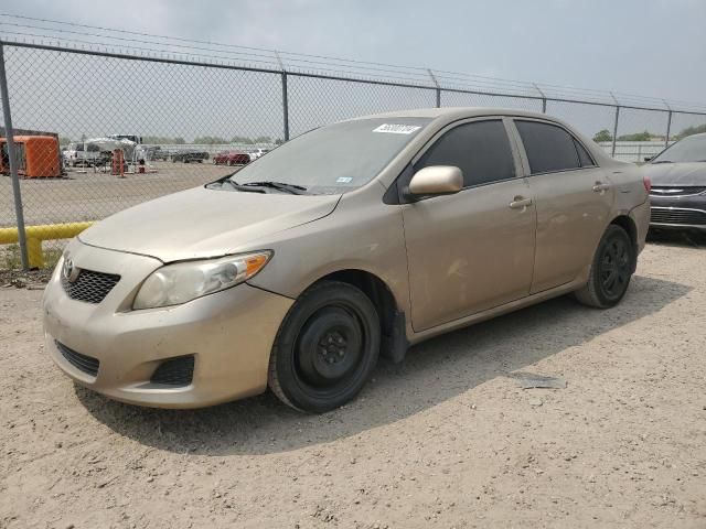 2009 Toyota Corolla Base