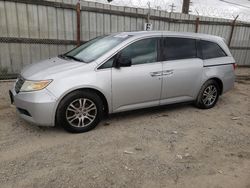 Salvage cars for sale at Los Angeles, CA auction: 2011 Honda Odyssey EXL