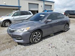 Salvage cars for sale at Earlington, KY auction: 2016 Honda Accord EXL
