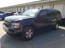 Salvage cars for sale at Louisville, KY auction: 2013 Chevrolet Suburban K1500 LT