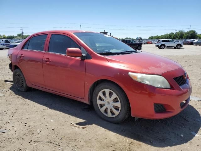 2010 Toyota Corolla Base