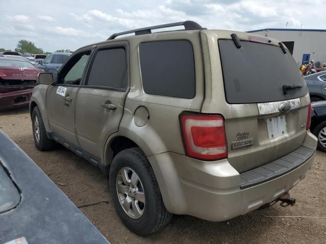 2009 Ford Escape Limited