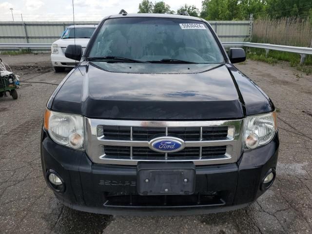 2012 Ford Escape XLT