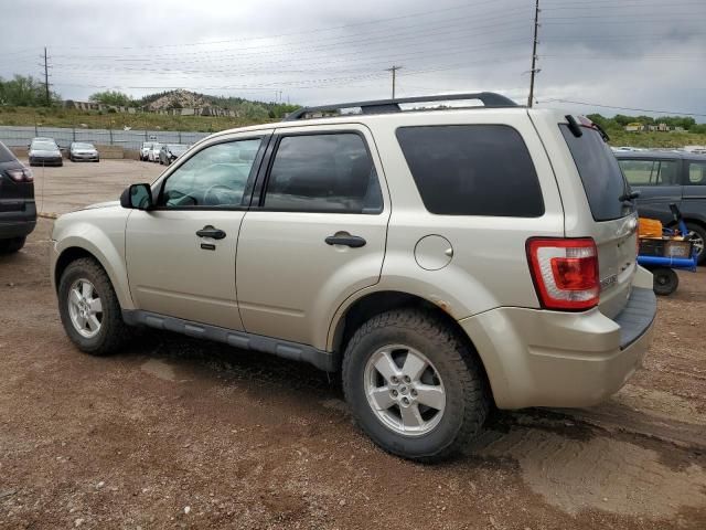 2012 Ford Escape XLT