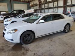 Salvage cars for sale at Eldridge, IA auction: 2009 Chevrolet Malibu 1LT