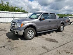 Salvage trucks for sale at West Mifflin, PA auction: 2019 Ford F150 Supercrew