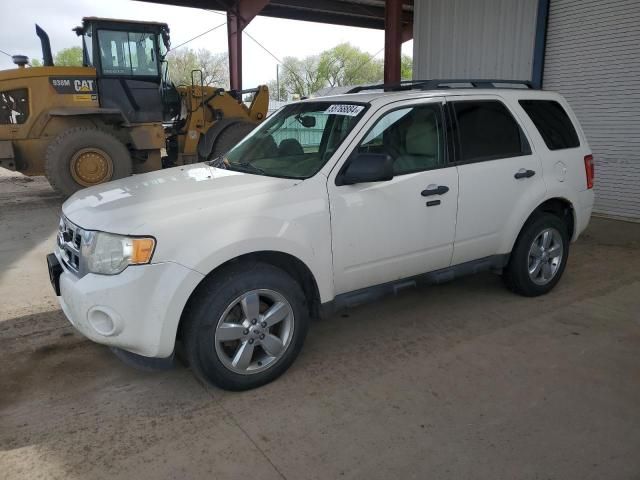 2011 Ford Escape XLT