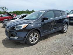 Ford Escape Vehiculos salvage en venta: 2016 Ford Escape SE