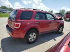 2008 Ford Escape XLT