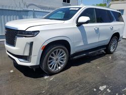 Salvage cars for sale from Copart Opa Locka, FL: 2023 Cadillac Escalade Premium Luxury