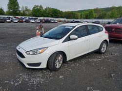 Salvage cars for sale from Copart Grantville, PA: 2017 Ford Focus SE