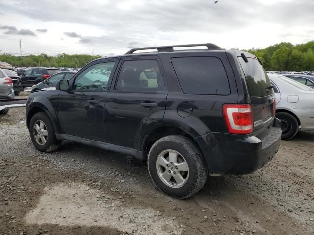 2011 Ford Escape XLT