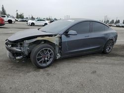 Salvage cars for sale from Copart Rancho Cucamonga, CA: 2023 Tesla Model 3