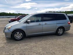 Salvage cars for sale at Anderson, CA auction: 2006 Honda Odyssey EX