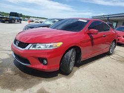 Salvage cars for sale at Memphis, TN auction: 2015 Honda Accord EXL