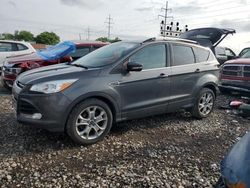 Salvage cars for sale from Copart Columbus, OH: 2016 Ford Escape Titanium