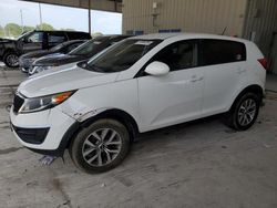 Salvage cars for sale at Homestead, FL auction: 2014 KIA Sportage Base