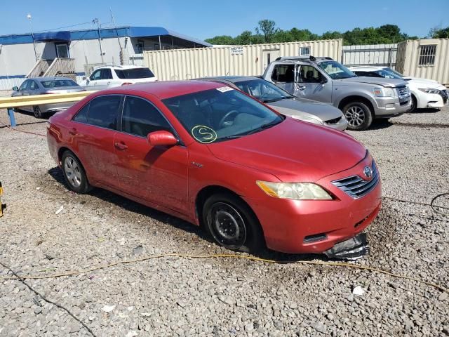 2009 Toyota Camry Hybrid