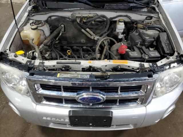 2009 Ford Escape XLT